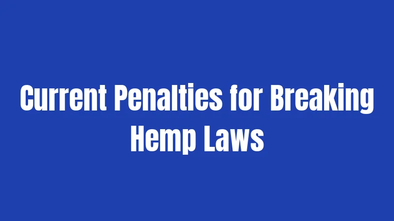 Current Penalties for Breaking Hemp Laws