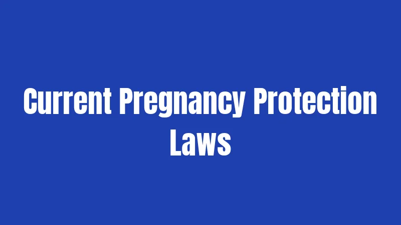 Current Pregnancy Protection Laws