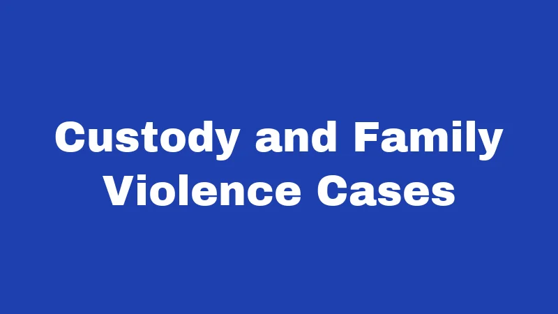 Custody and Family Violence Cases