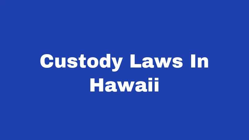 Custody Laws In Hawaii