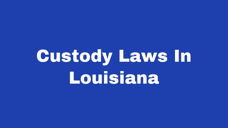 Custody Laws in Louisiana (2026): What Every Parent Should Know 419 Custody Laws In Louisiana