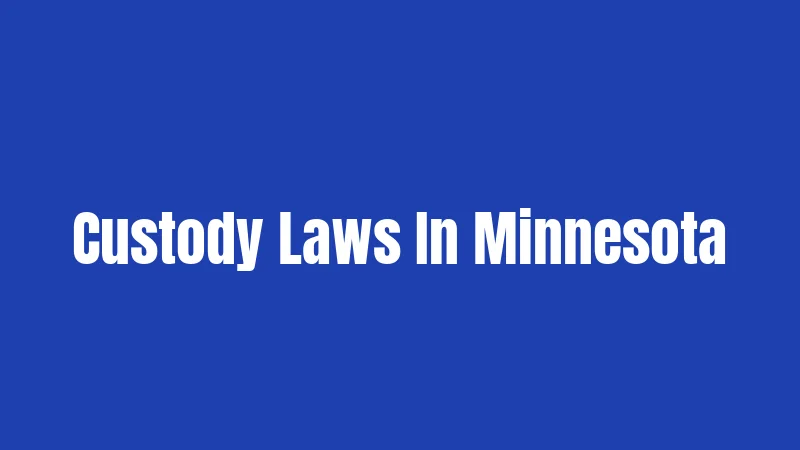 Custody Laws In Minnesota
