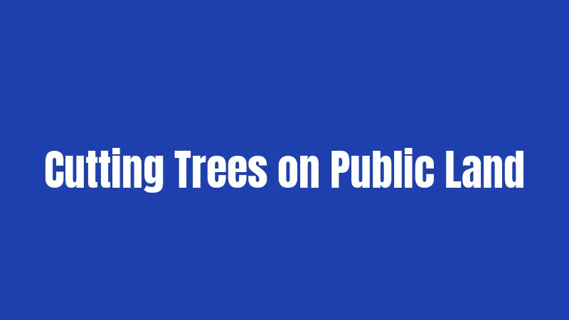 Tree Laws in Colorado (2026): Your Complete Guide 2 Cutting Trees on Public Land