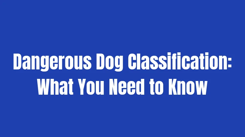Dangerous Dog Classification: What You Need to Know