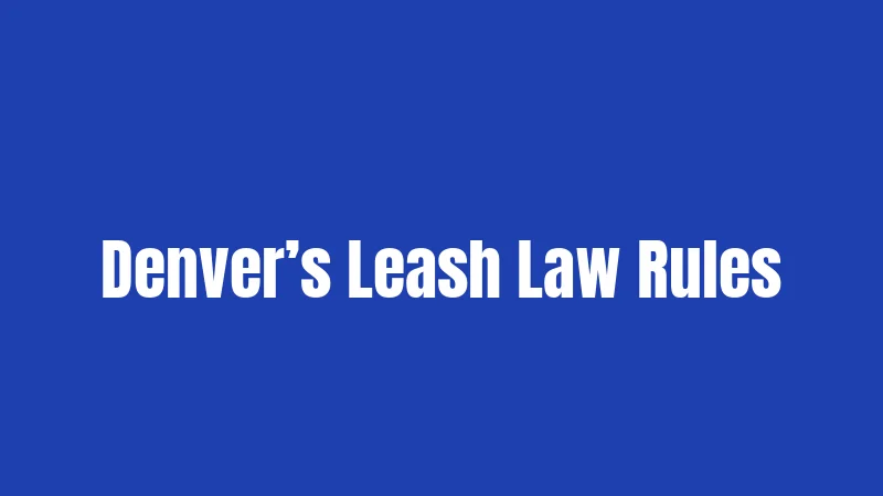 Denver’s Leash Law Rules