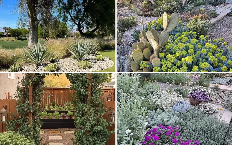 25 Breathtaking Desert Landscaping Ideas That Thrive in Hot Climates desert landscaping ideas featured