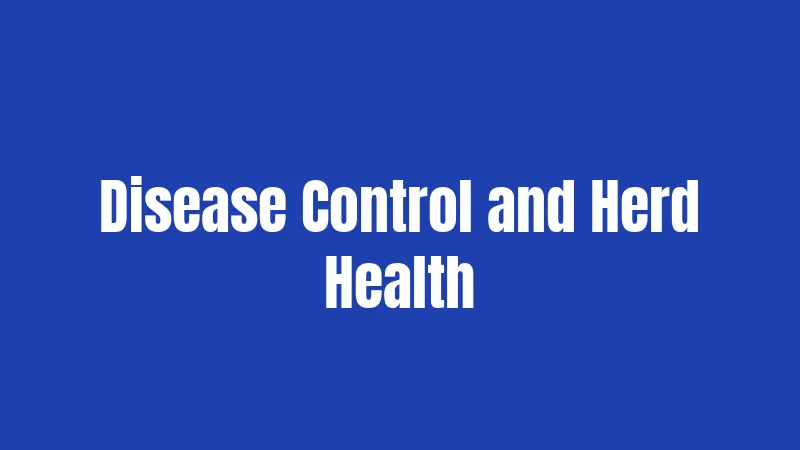 Disease Control and Herd Health