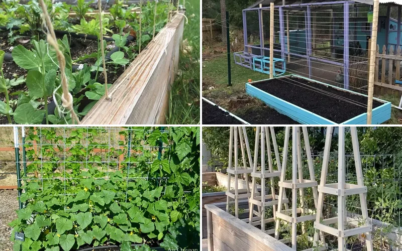 diy cucumber trellis ideas featured