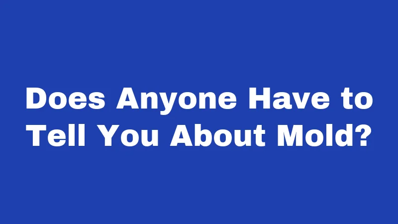 Mold Laws in Utah (2026): Renters, Read This First 5 Does Anyone Have to Tell You About Mold?