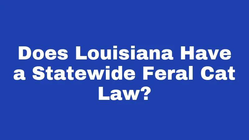 Does Louisiana Have a Statewide Feral Cat Law?