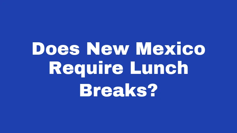 Does New Mexico Require Lunch Breaks?