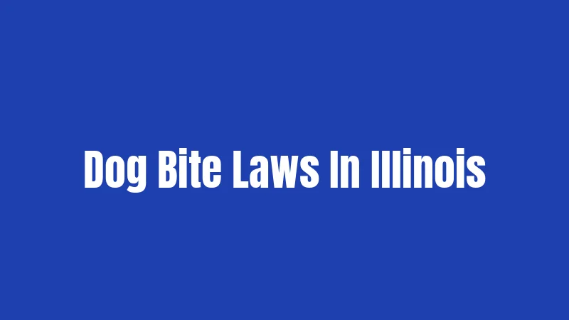 Dog Bite Laws In Illinois