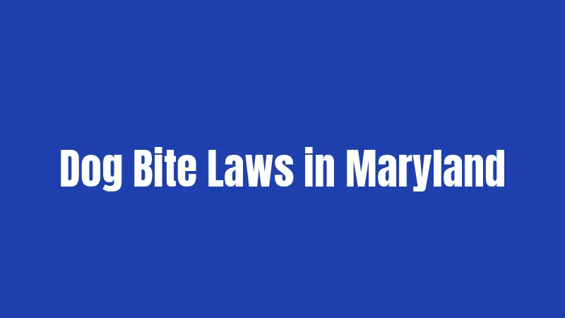 Dog Bite Laws in Maryland