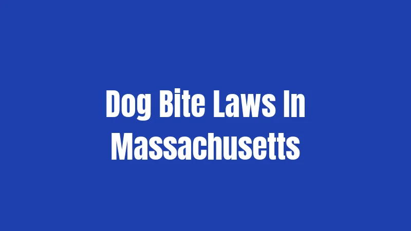 Dog Bite Laws In Massachusetts
