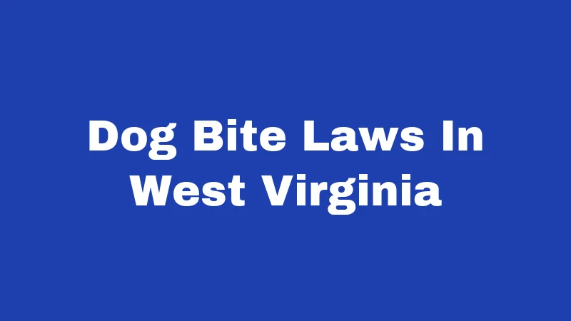 Dog Bite Laws In West Virginia
