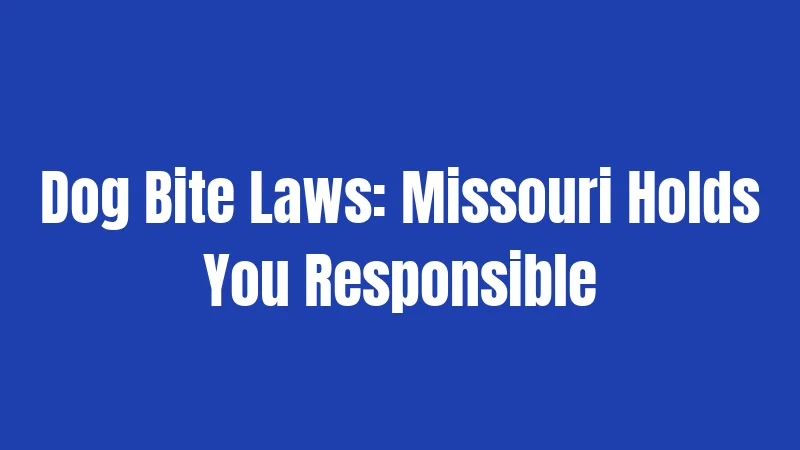 Dog Bite Laws: Missouri Holds You Responsible