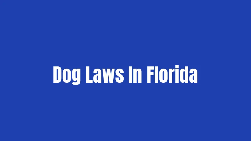 Dog Laws In Florida