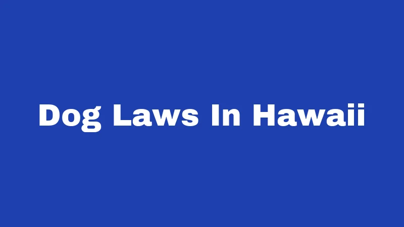 Dog Laws In Hawaii