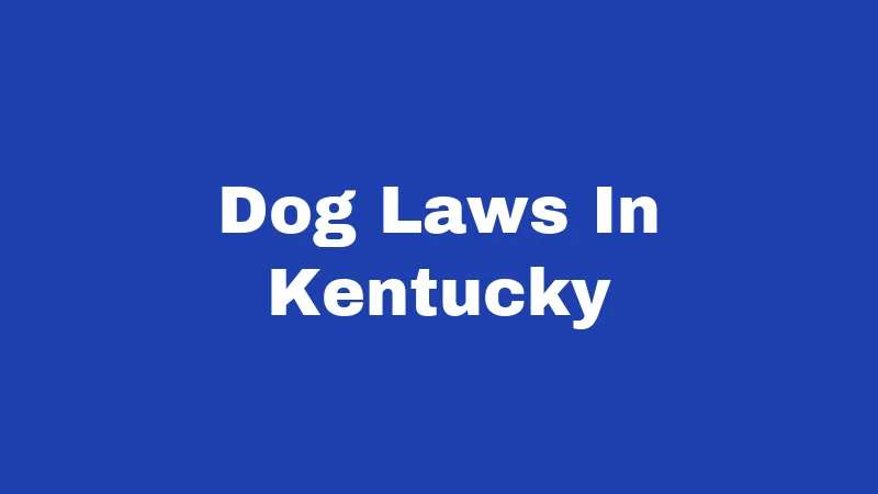 Dog Laws In Kentucky