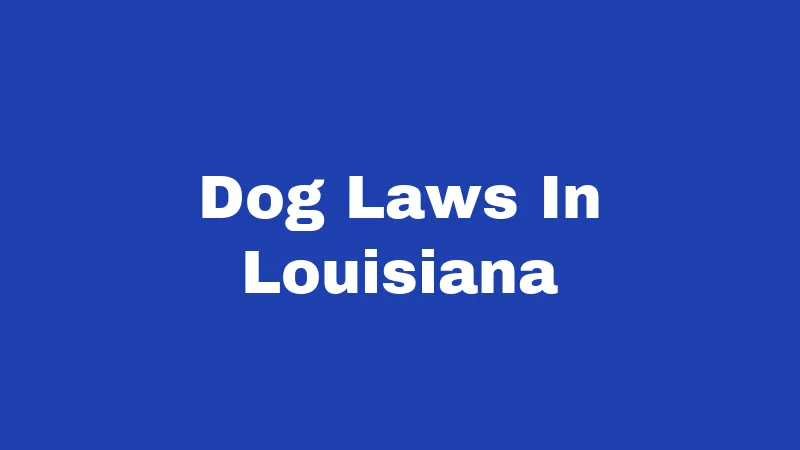 Dog Laws in Louisiana (2026): Rules Every Owner Must Follow 413 Dog Laws In Louisiana