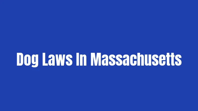 Dog Laws In Massachusetts
