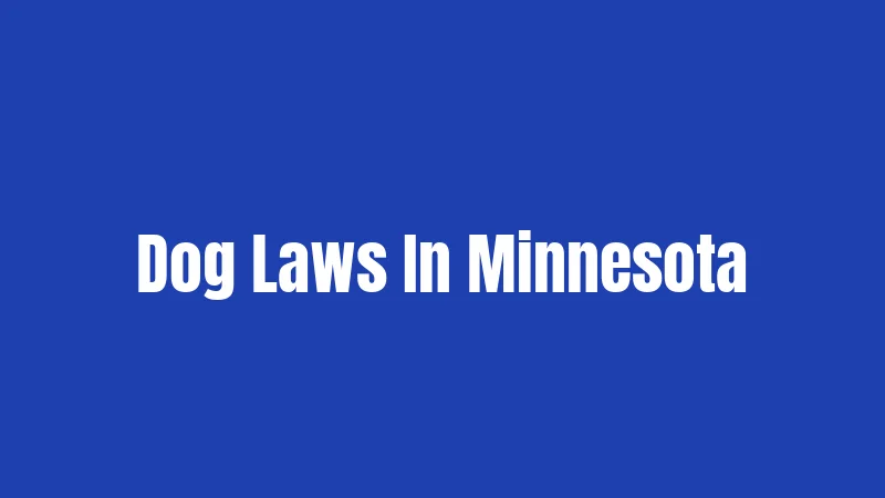 Dog Laws In Minnesota
