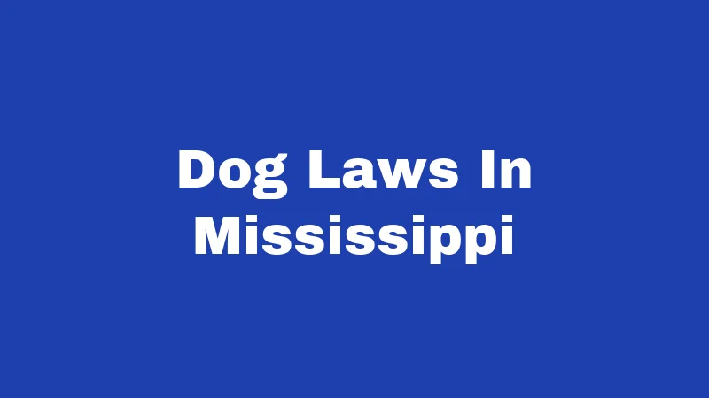 Dog Laws in Mississippi (2026): Rules Every Owner Must Know 98 Dog Laws In Mississippi