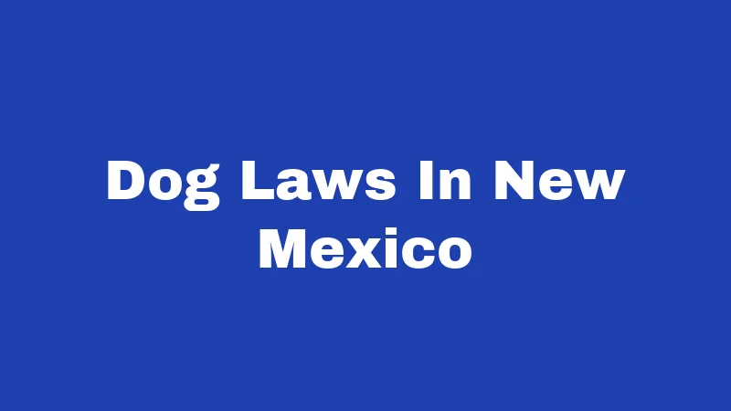 Dog Laws In New Mexico