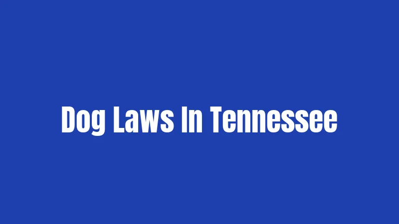Dog Laws In Tennessee