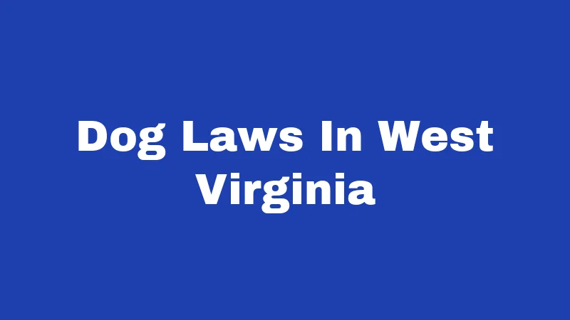 Dog Laws In West Virginia
