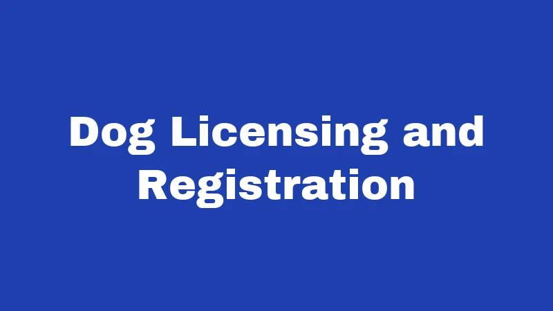 Dog Laws in Utah (2026): Rules Every Owner Must Know 1 Dog Licensing and Registration