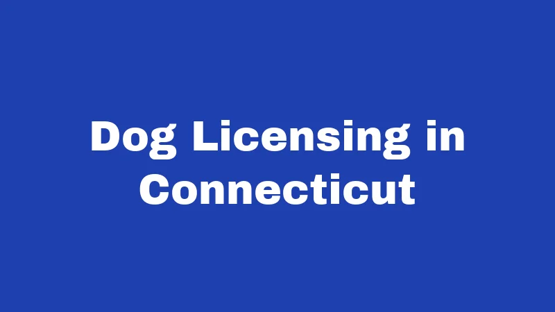 Dog Licensing in Connecticut