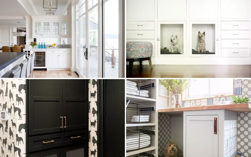 dog room ideas featured