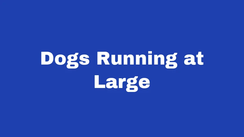 Dogs Running at Large