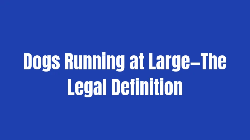 Virginia Leash Laws in 2026: What Dog Owners Actually Need to Know 3 Dogs Running at Large—The Legal Definition