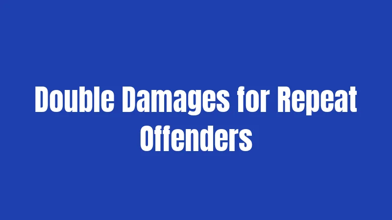 Double Damages for Repeat Offenders