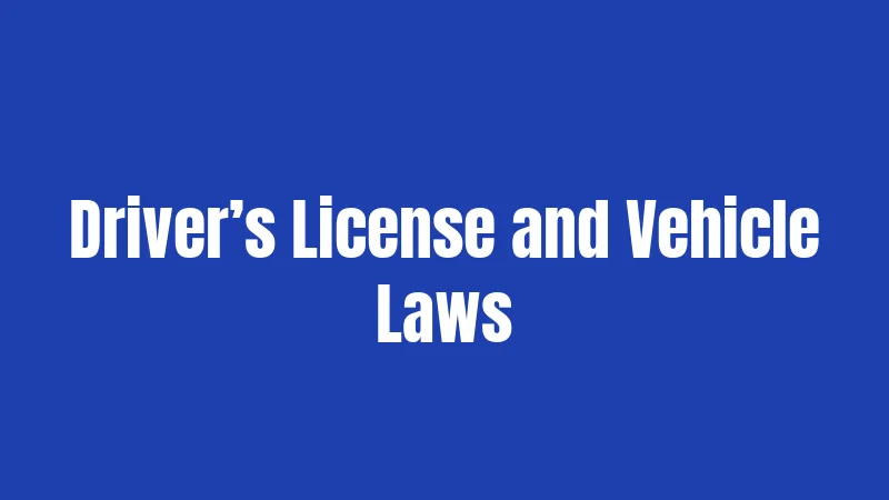 Driver’s License and Vehicle Laws