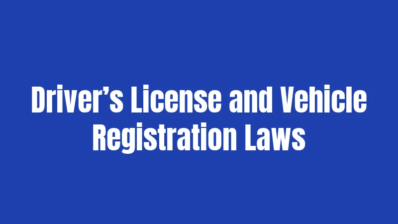 Driver’s License and Vehicle Registration Laws