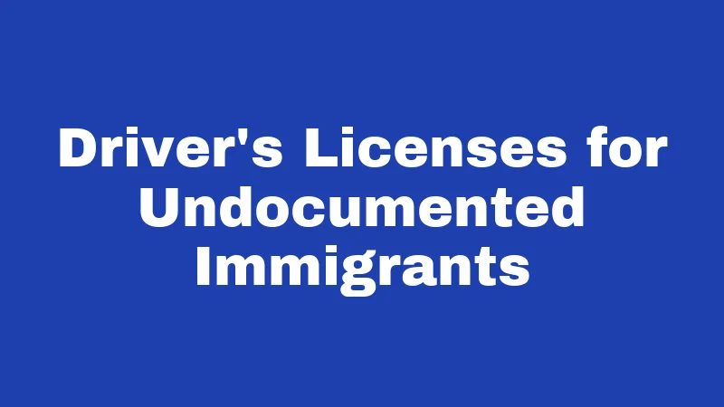Immigration Laws in New Mexico (2026): A State Fighting Back 2 Driver's Licenses for Undocumented Immigrants