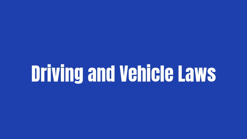 New York Laws in 2026: Recent Changes That Affect You 2 Driving and Vehicle Laws