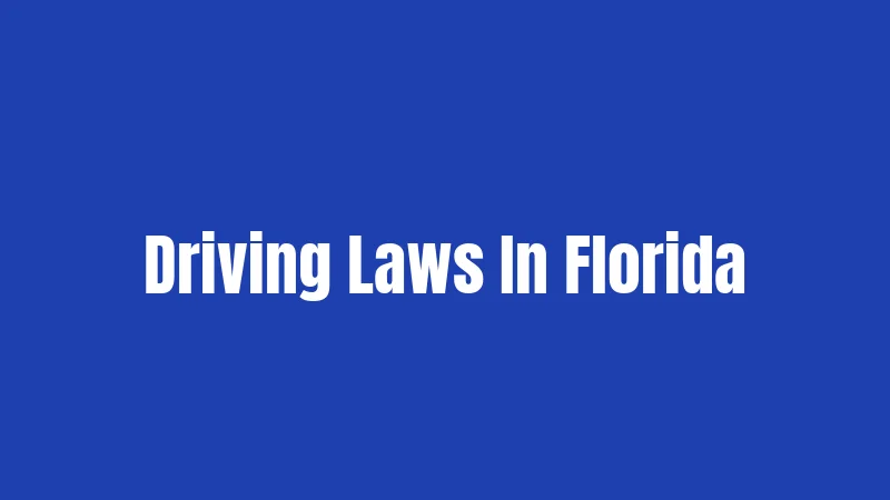 Driving Laws In Florida