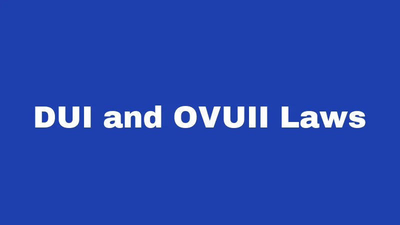 Driving Laws in Hawaii (2026): Aloha Rules of the Road 2 DUI and OVUII Laws