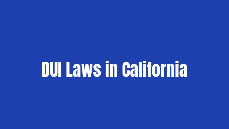 California Driving Laws (2026): Stay Legal on the Road 3 DUI Laws in California