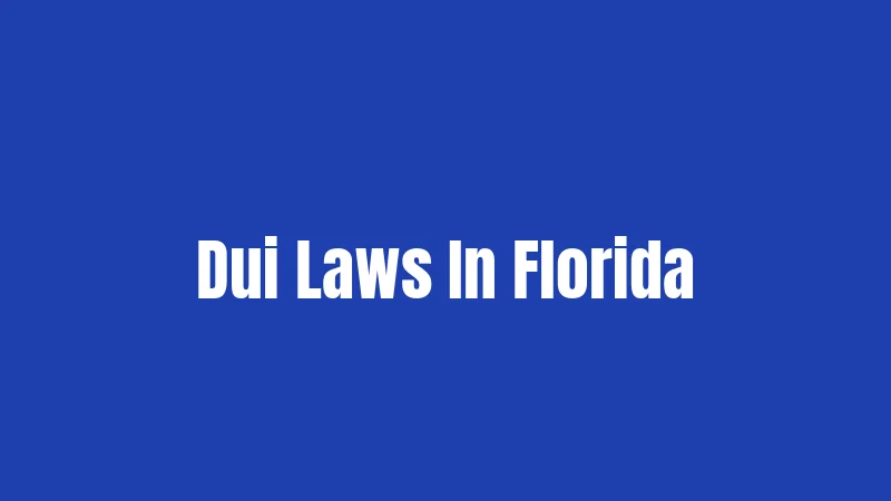 Dui Laws In Florida