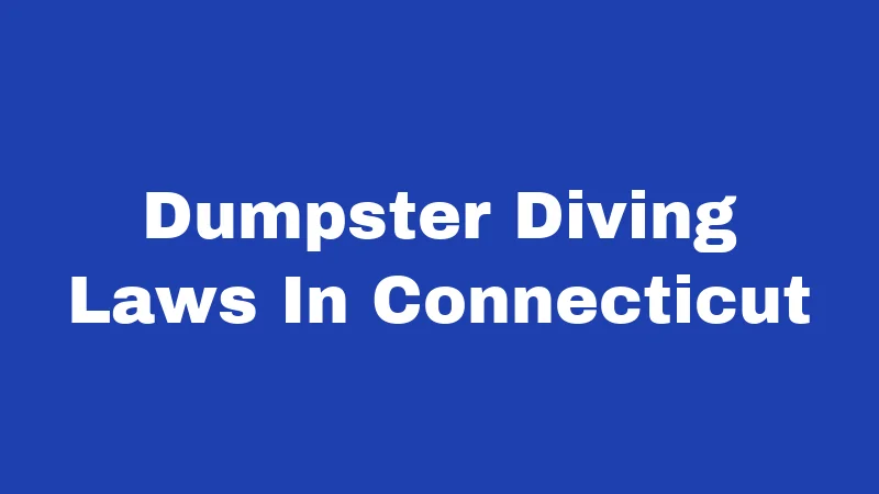 Dumpster Diving Laws in Connecticut (2026): Rules Every Diver Must Know 275 Dumpster Diving Laws In Connecticut