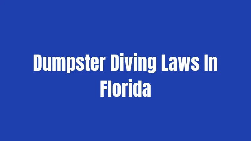 Dumpster Diving Laws In Florida