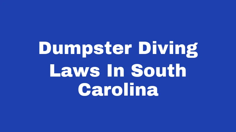 Dumpster Diving Laws in South Carolina (2026): Rules Every Diver Must Know 368 Dumpster Diving Laws In South Carolina