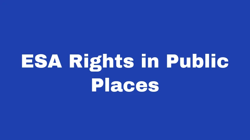 ESA Laws in Alabama (2026): Your Rights Without the Guesswork 3 ESA Rights in Public Places