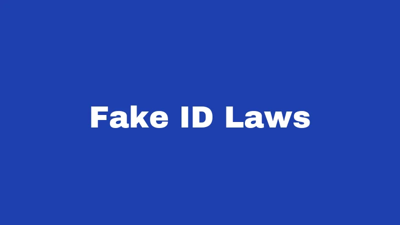 Fake ID Laws