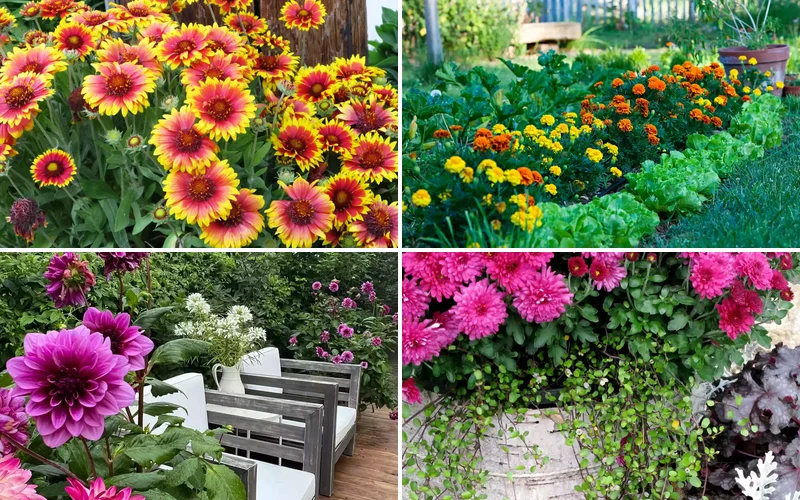 20 Stunning Fall Container Ideas to Transform Your Outdoor Space